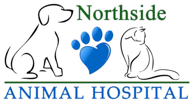 Northside Animal Hospital